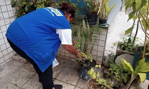 Resultado do LIRAa define prioridades no combate à dengue em Volta Redonda